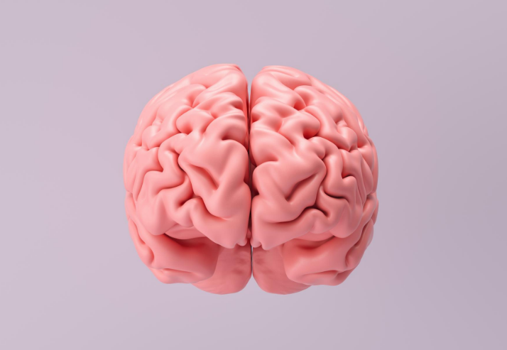 Pink Brain on Pink Background