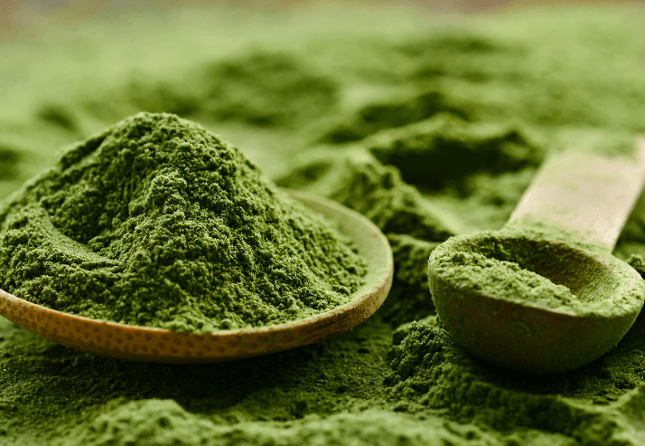 Chlorella Powder in Wooden Spoon