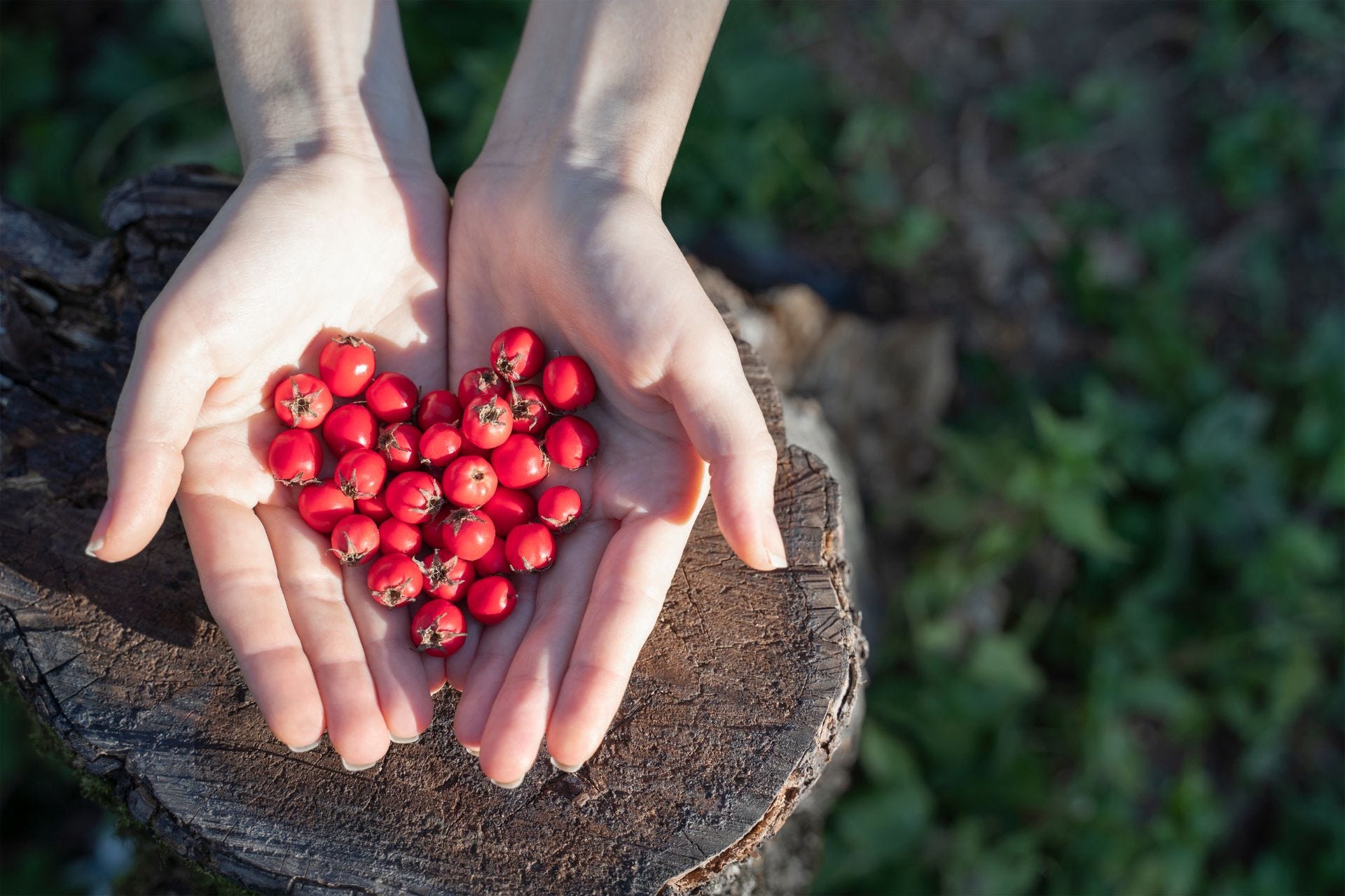 Hands Holding Berries