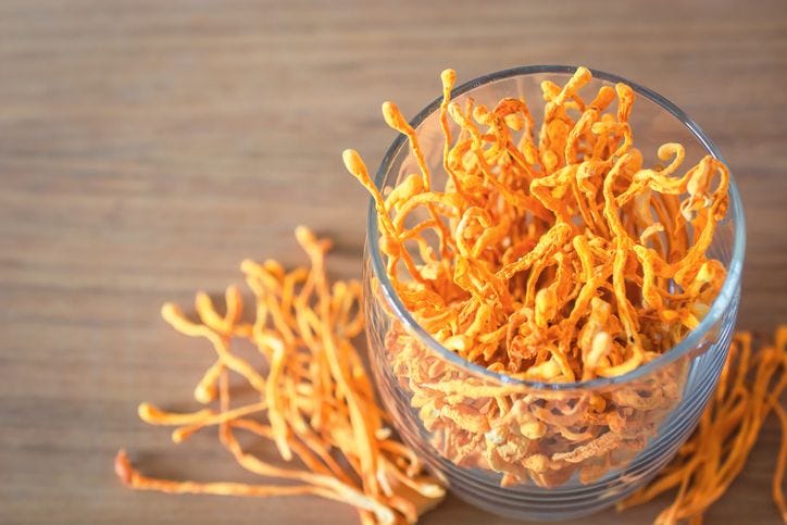 Have You Ever Heard of the Ancient Detoxification Superstar: the Cordyceps Mushroom?