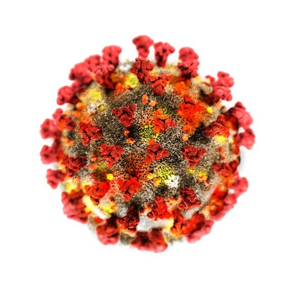 COVID-19 Virus