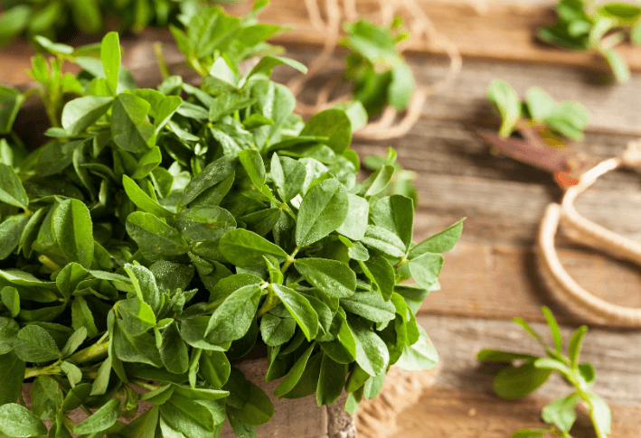 A Famous Folk Remedy – Fenugreek! But Does it Work? 