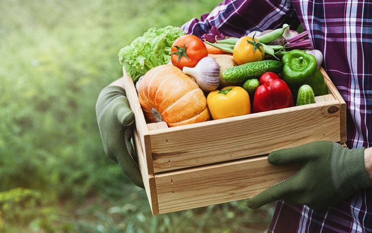 What Quality is Your Produce? Ask the Brix Meter