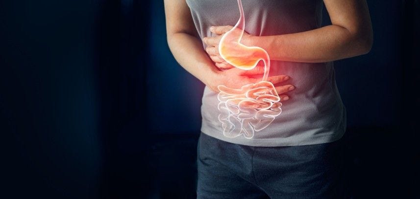 How Your Gut Bacteria Affects your IBD